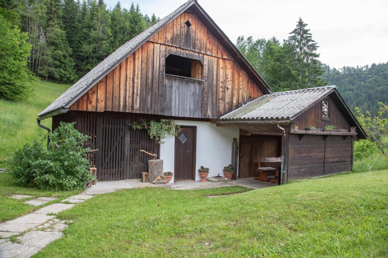 Pocitniska Hisa Pri Goricarju Villa Bohinjska Bistrica Kültér fotó